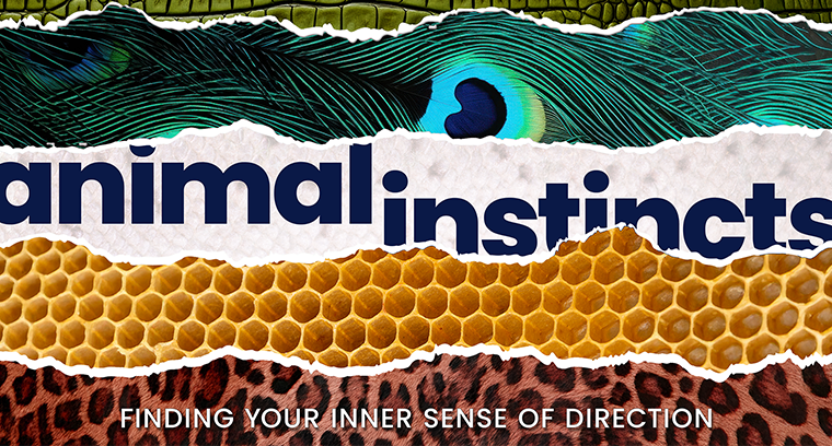 Animal Instincts