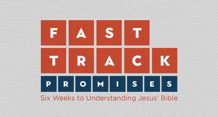 Fast Track Promises: Six Weeks To Understanding Jesus' Bible