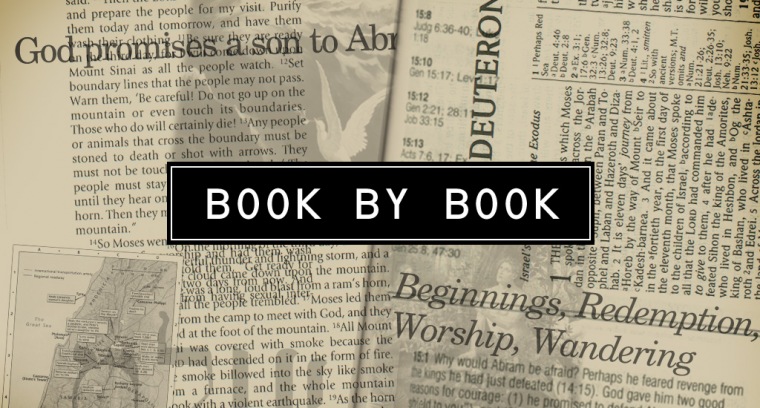 Book by Book Archive current series